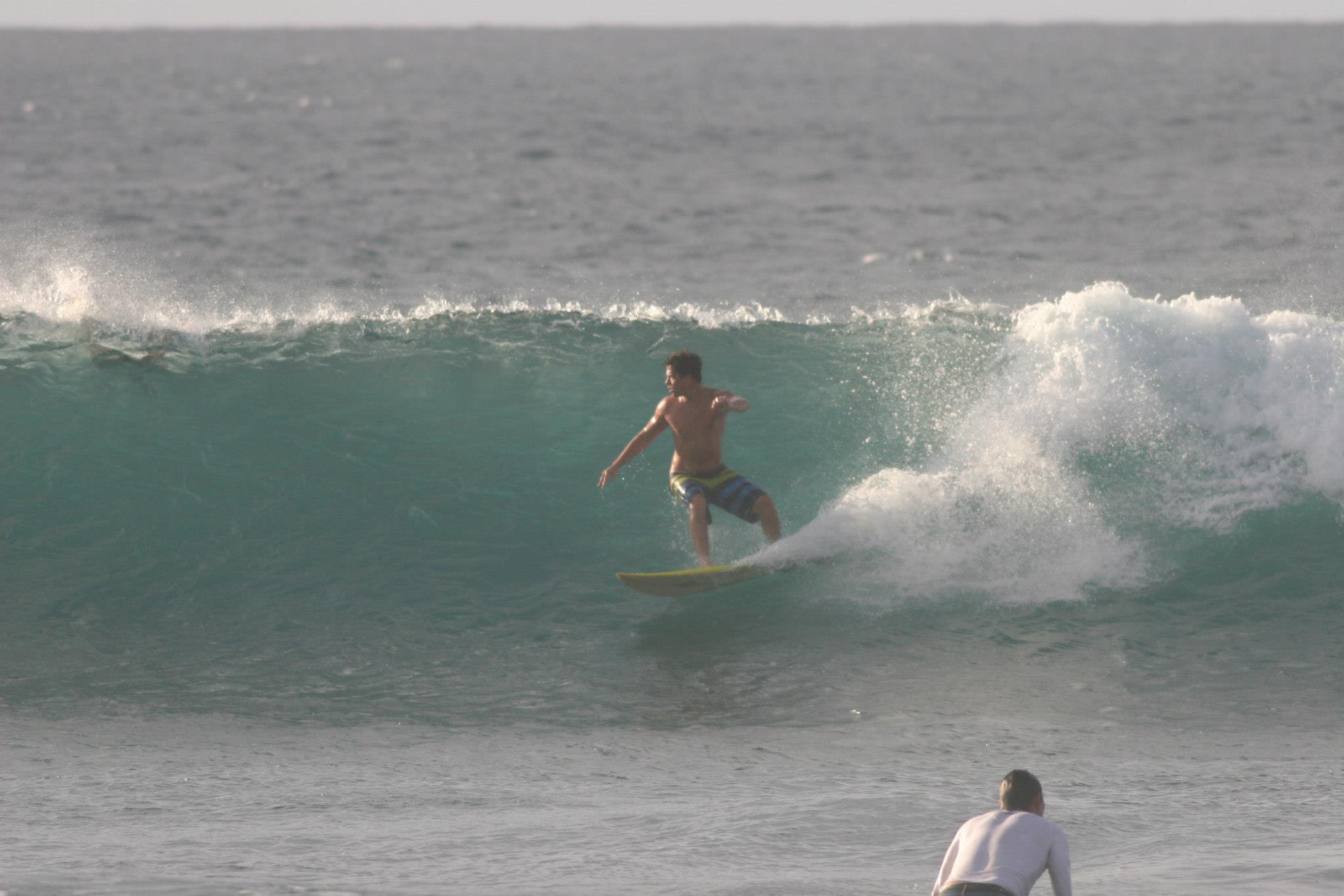 Boston Surf School