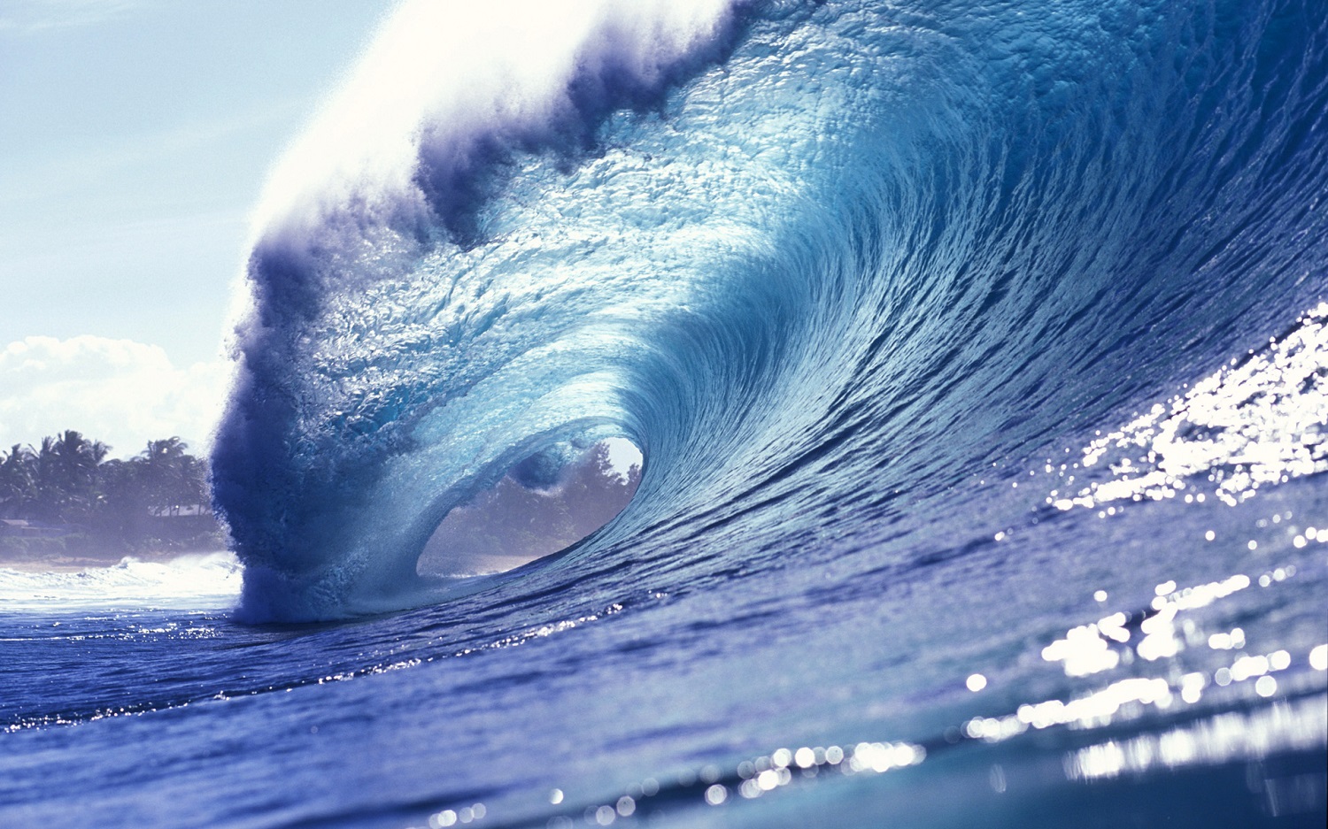 Boston Surf Lessons and Photography